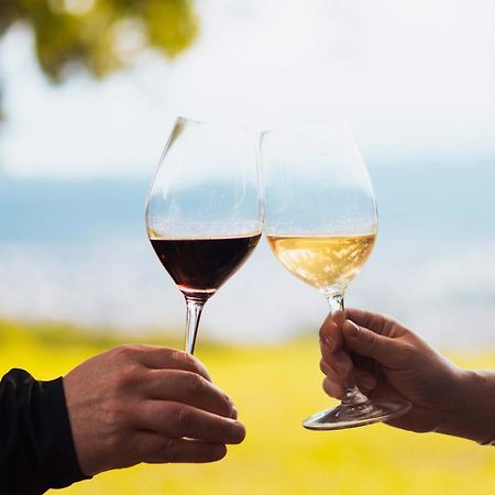 Altos De La Vina, Wine Hotel & Spa Сан-Сальвадор-де-Жужуй Екстер'єр фото